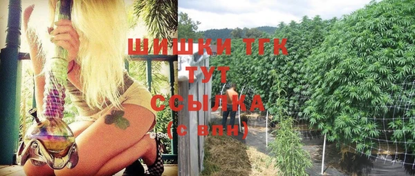 дмт Алексеевка