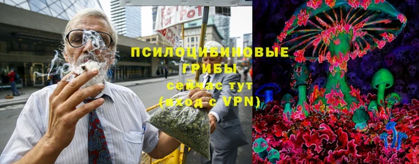 герыч Алексин