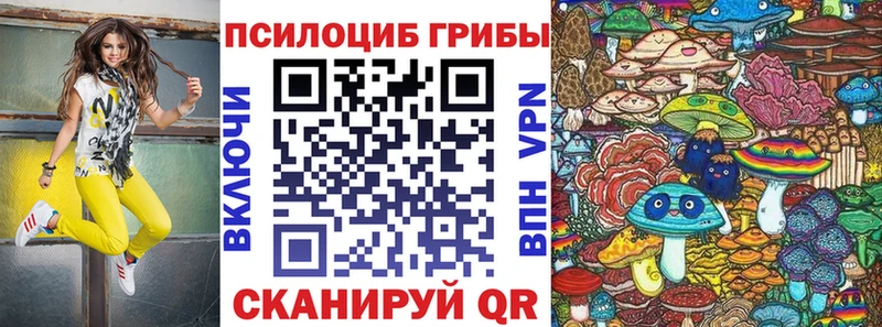 Псилоцибиновые грибы мухоморы  цена   Дудинка 